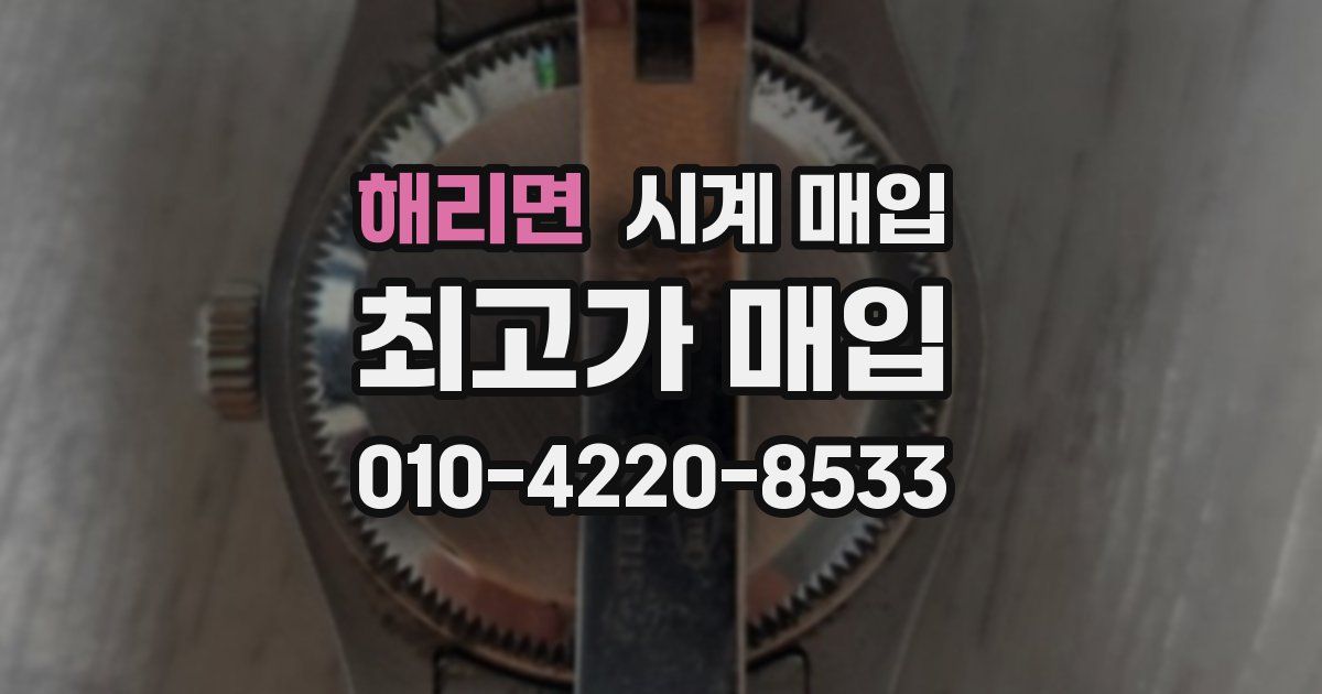 해리면 시계 매입