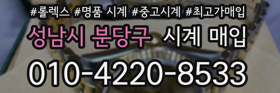 성남시 분당구 시계 매입