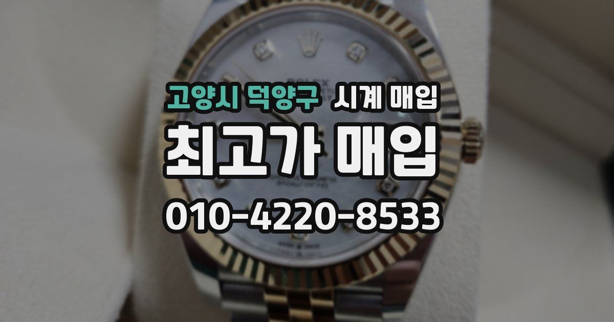 고양시 덕양구 시계 매입