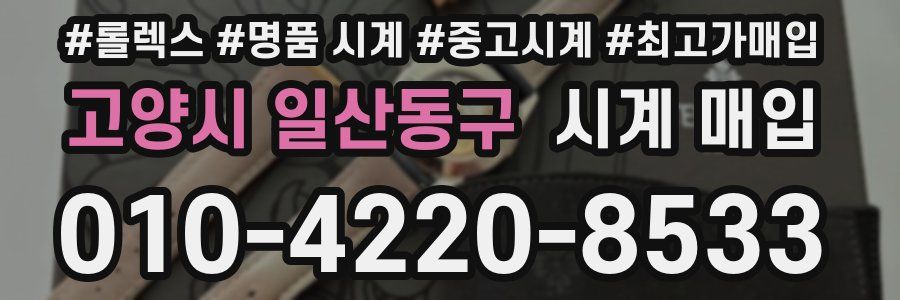 고양시 일산동구 시계 매입