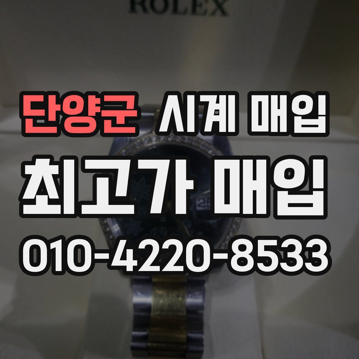 단양군 시계 매입