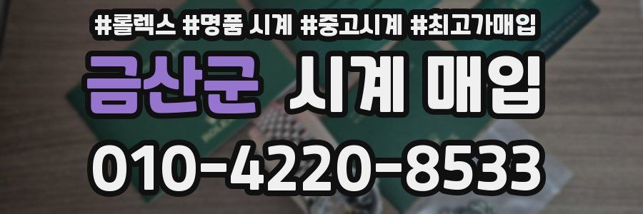 금산군 시계 매입