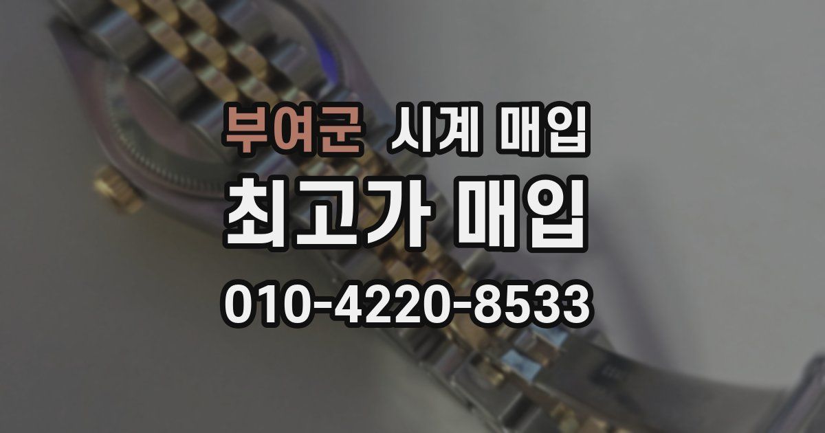 부여군 시계 매입