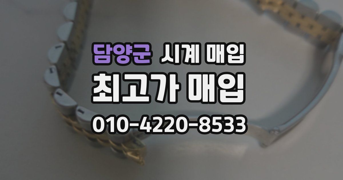 담양군 시계 매입