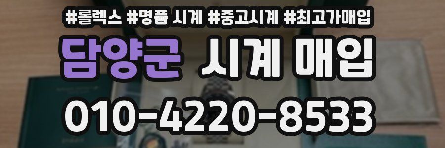 담양군 시계 매입