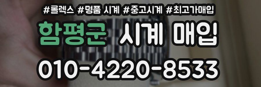 함평군 시계 매입
