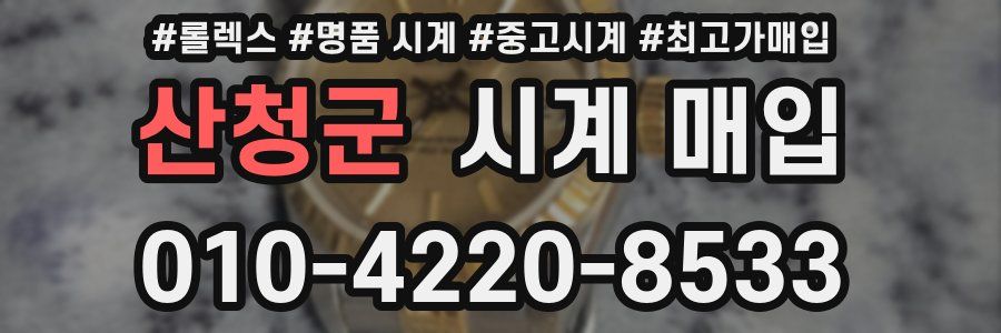 산청군 시계 매입