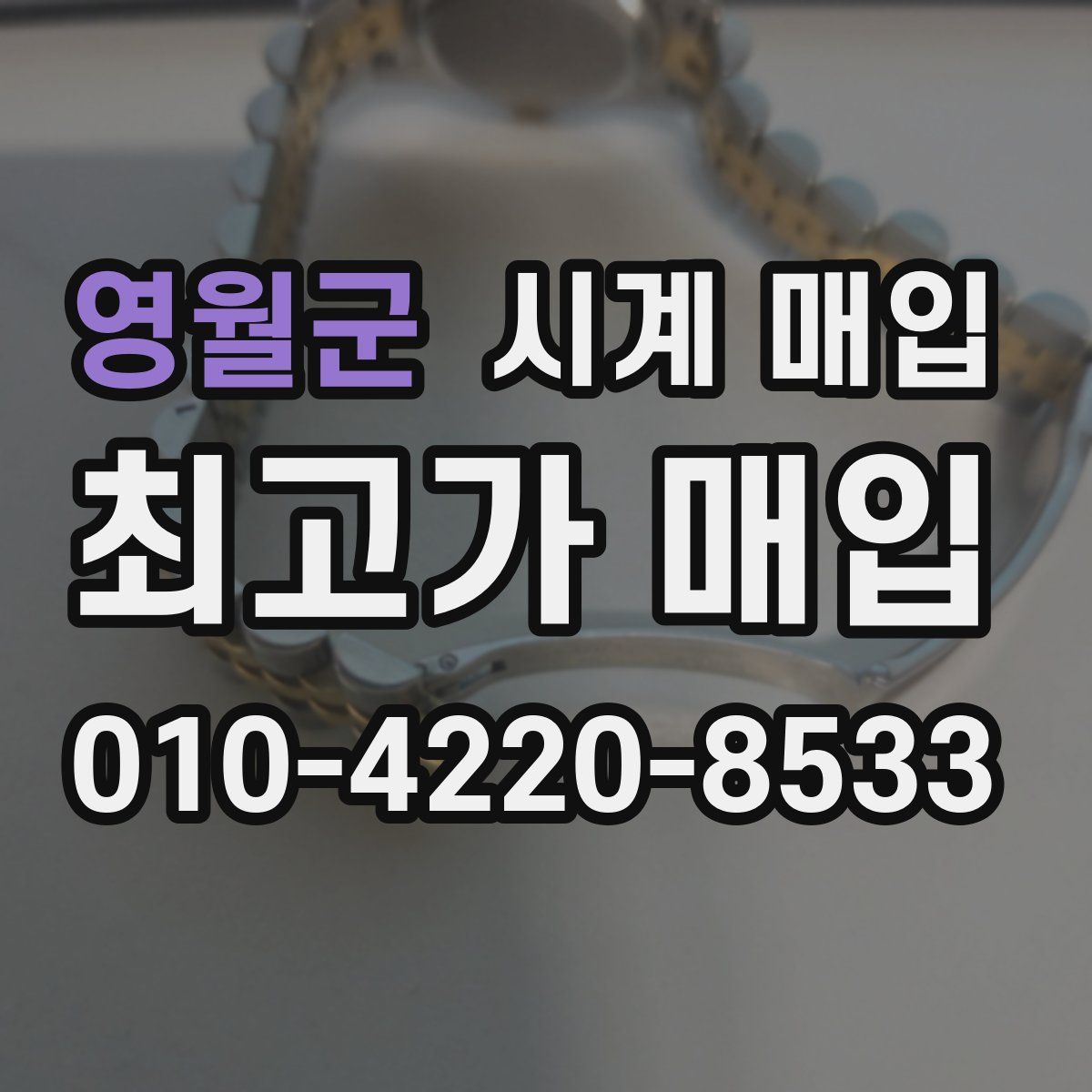 영월군 시계 매입