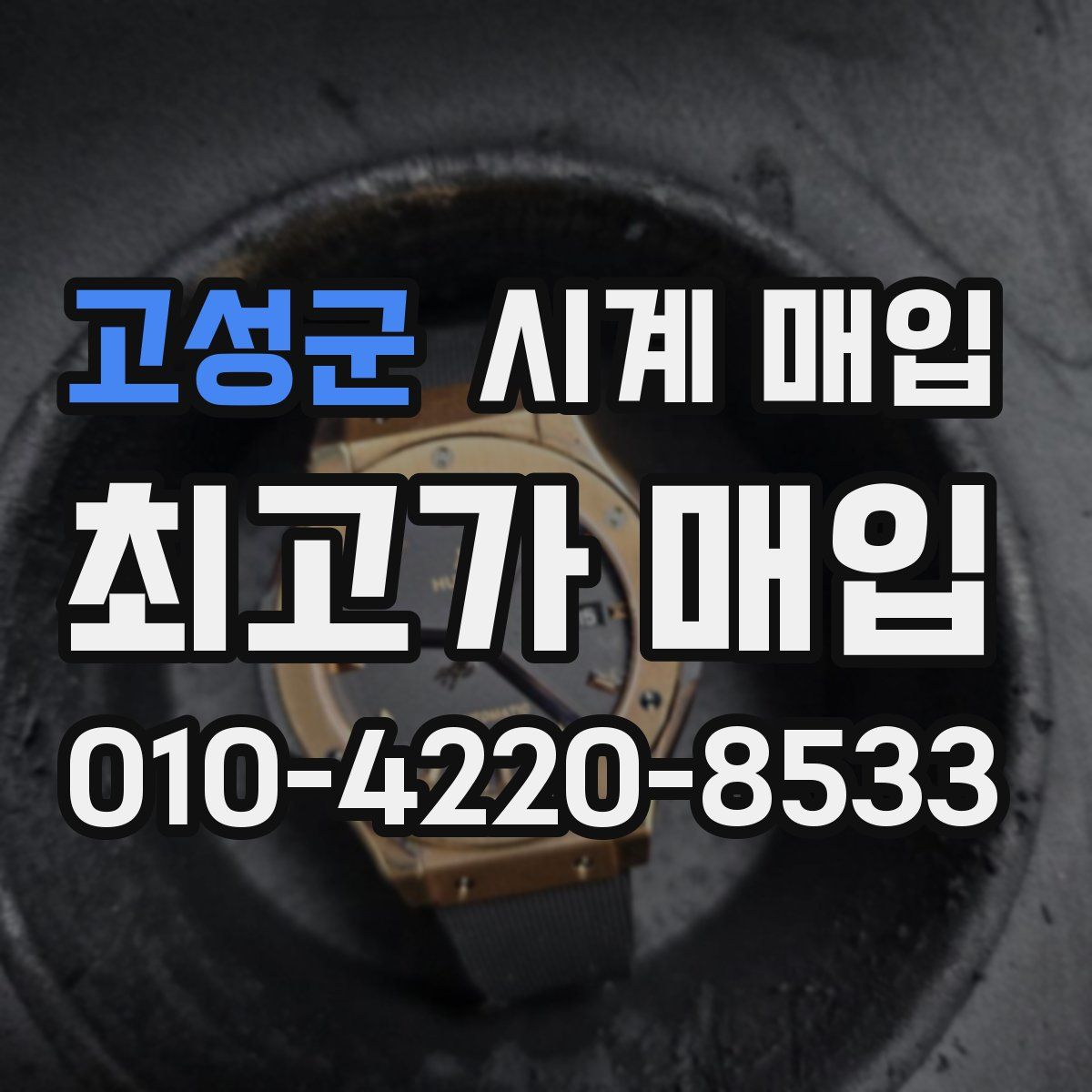 고성군 시계 매입