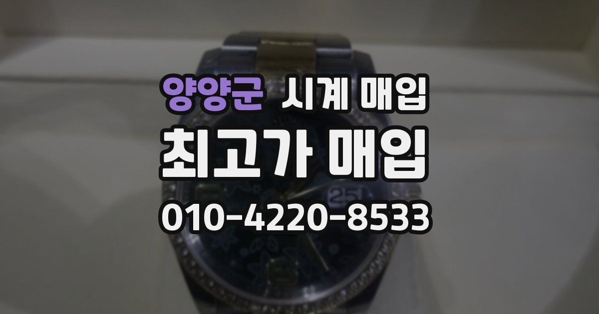 양양군 시계 매입