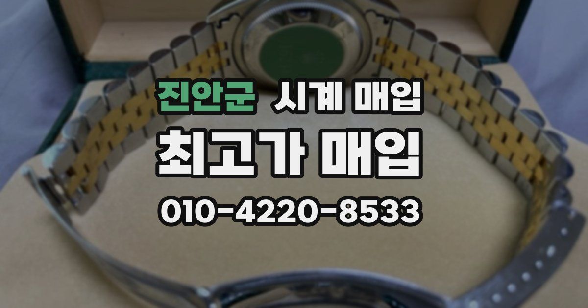 진안군 시계 매입