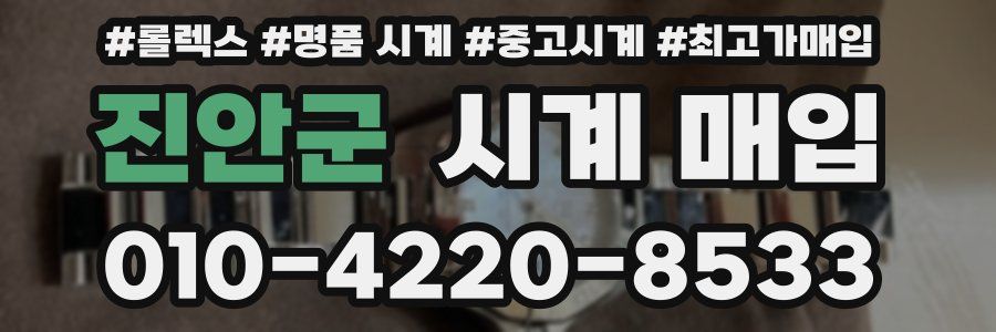 진안군 시계 매입