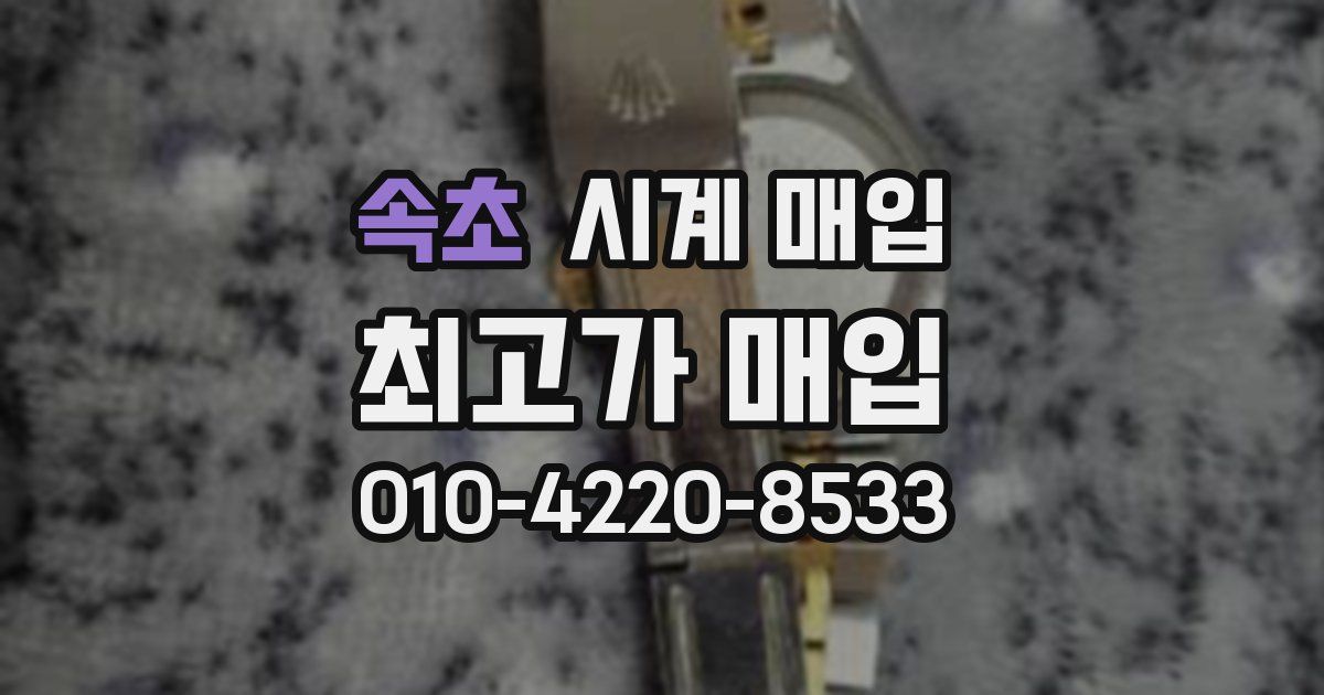 속초 시계 매입