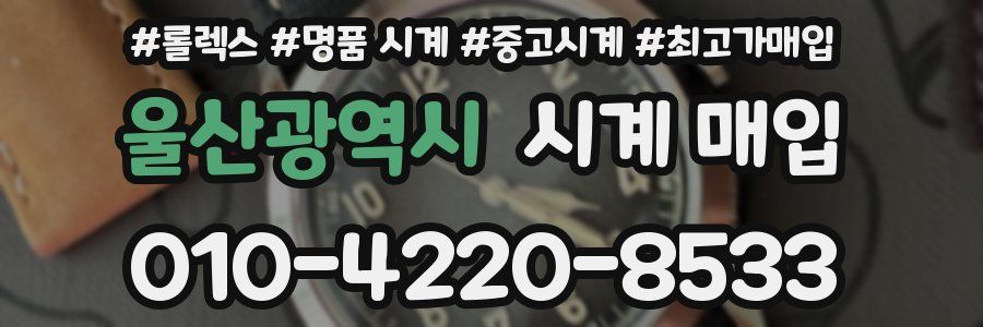 울산광역시 시계 매입