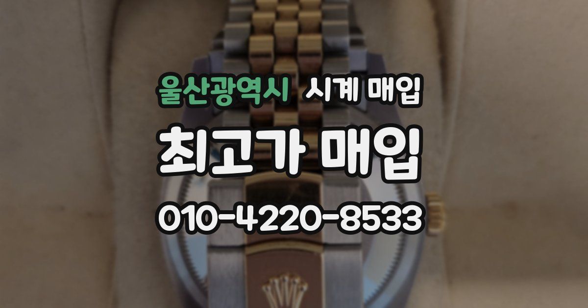 울산광역시 시계 매입