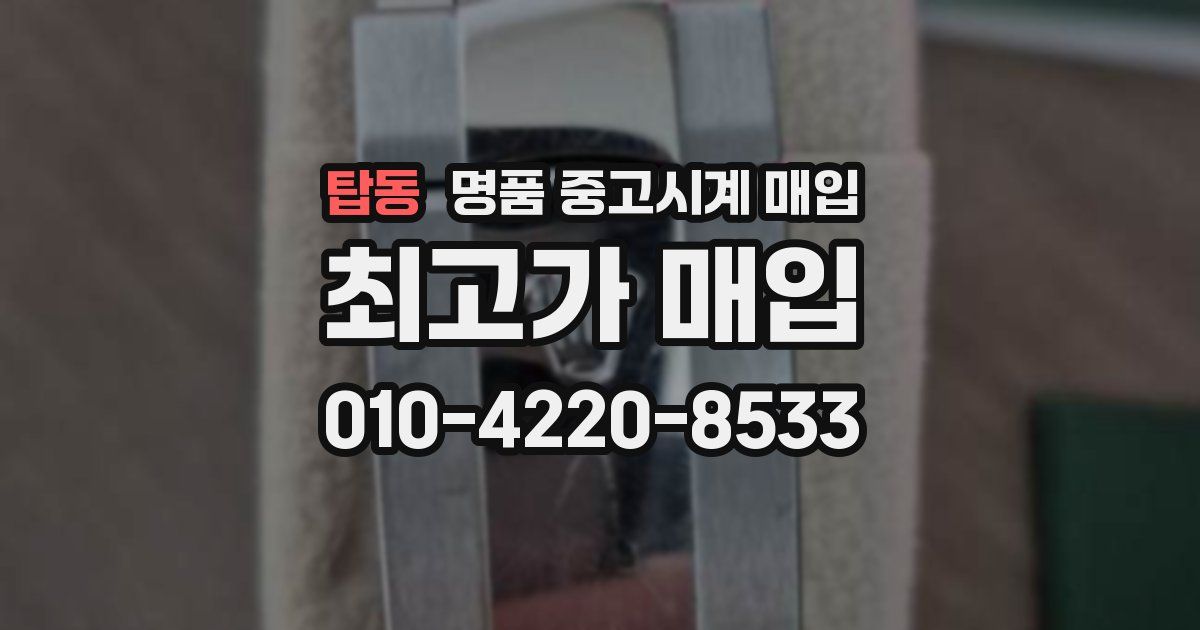 탑동 명품 중고시계 매입