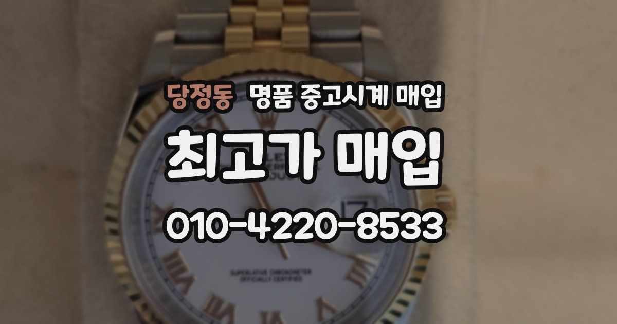 당정동 명품 중고시계 매입