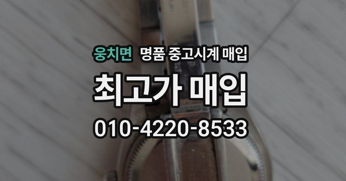 웅치면 명품 중고시계 매입