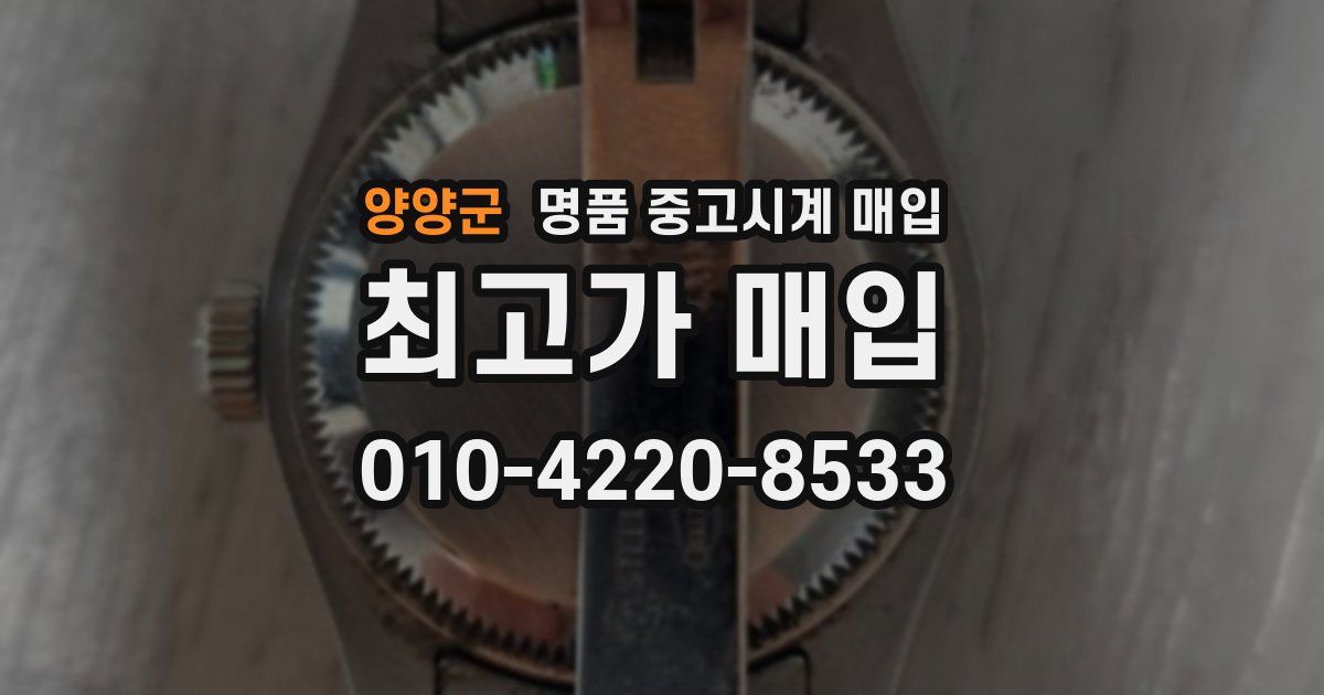 양양군 명품 중고시계 매입