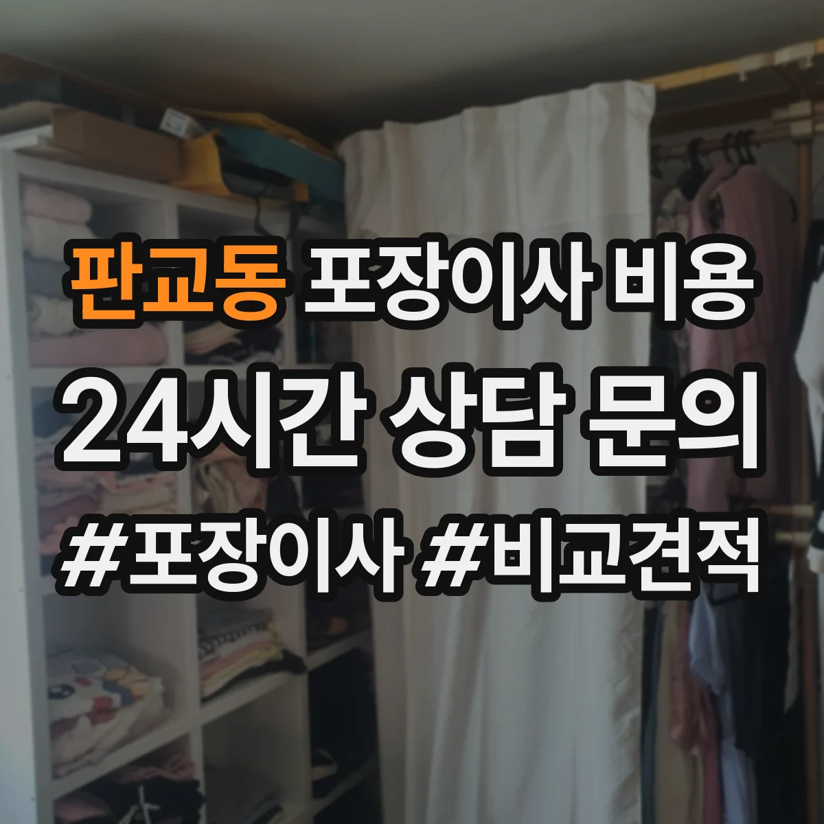 판교동 포장이사 비용
