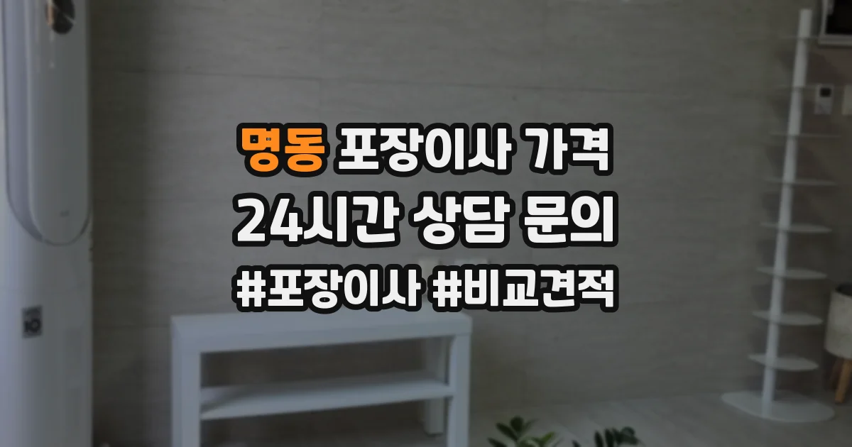 명동 포장이사 가격