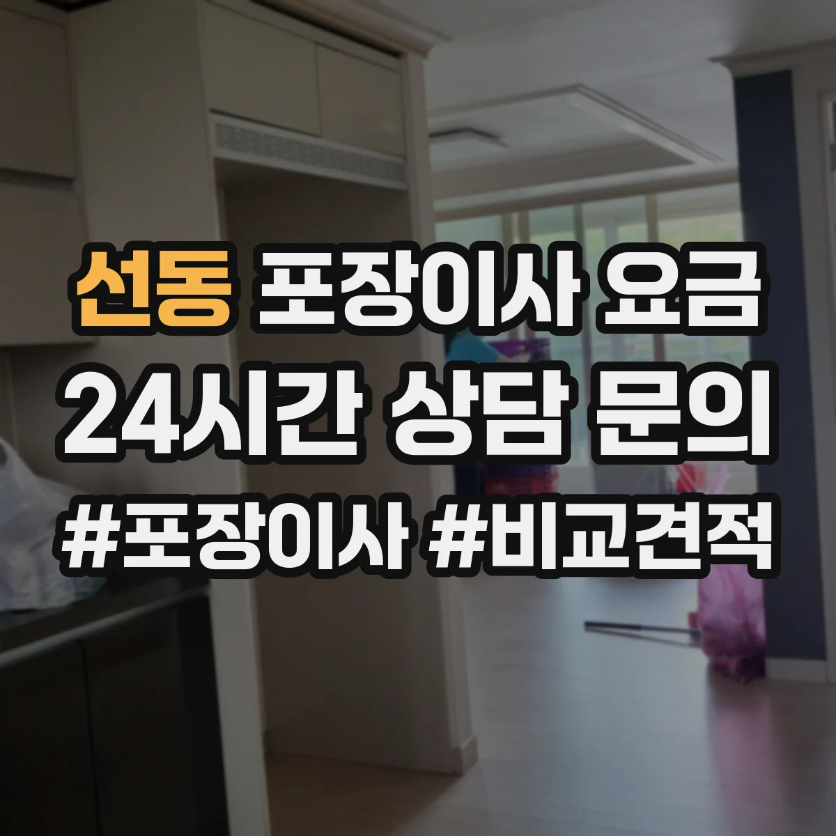 선동 포장이사 요금