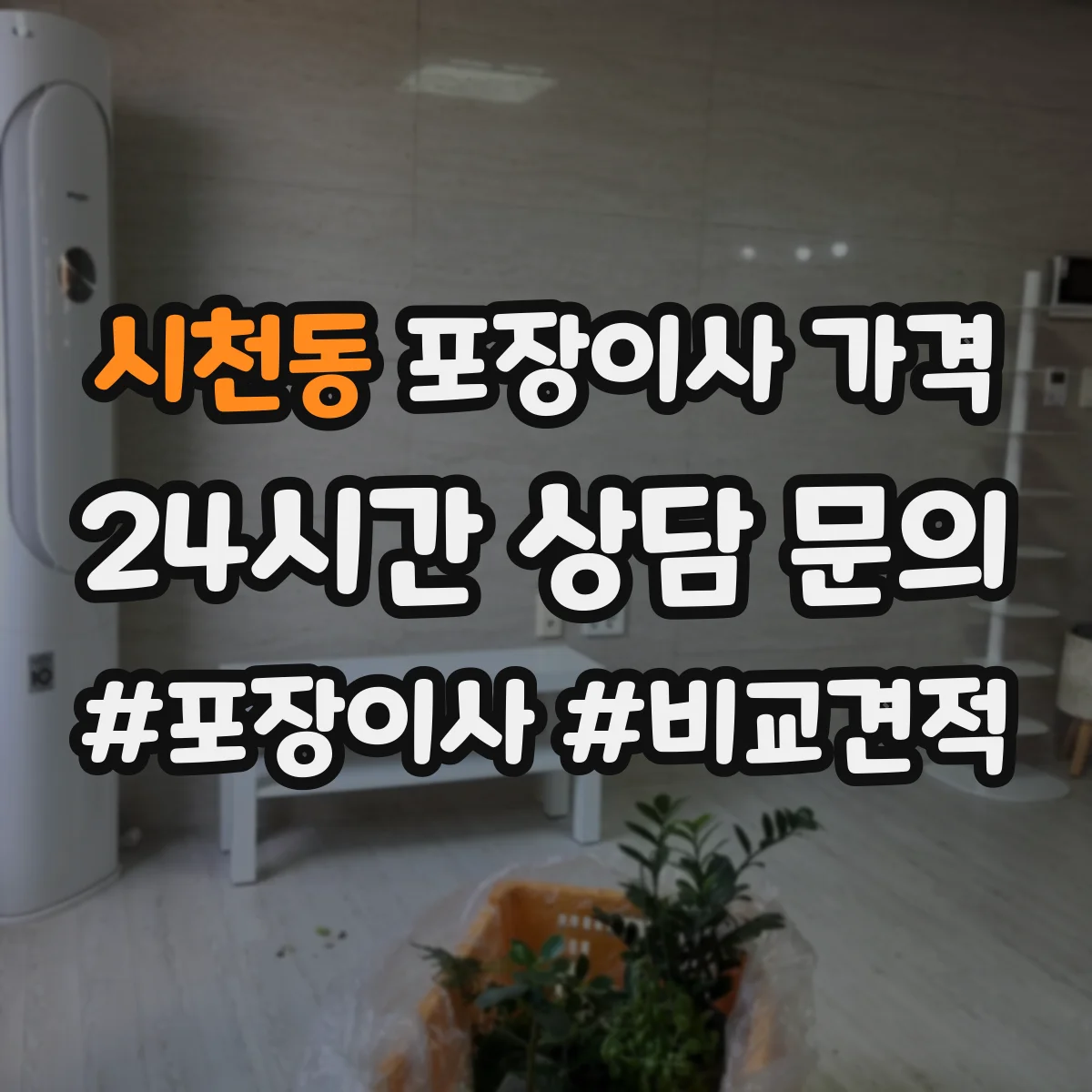 시천동 포장이사 가격
