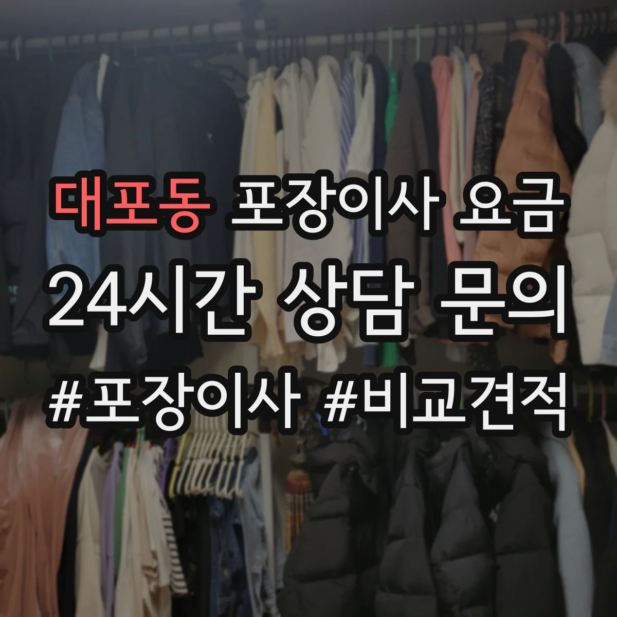 대포동 포장이사 요금