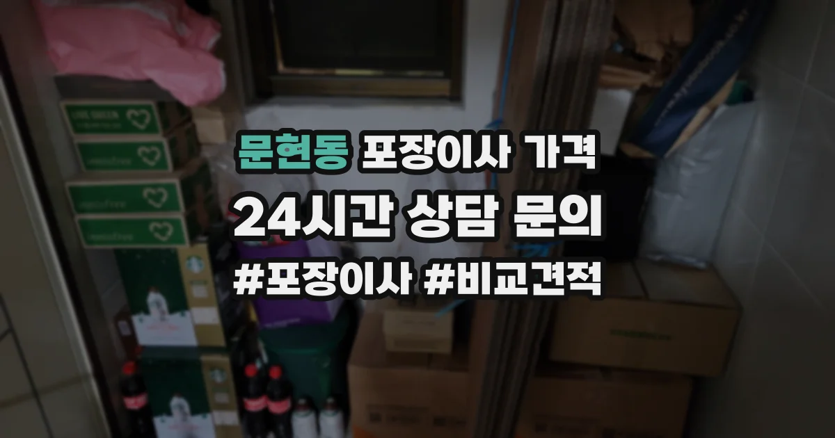 문현동 포장이사 가격