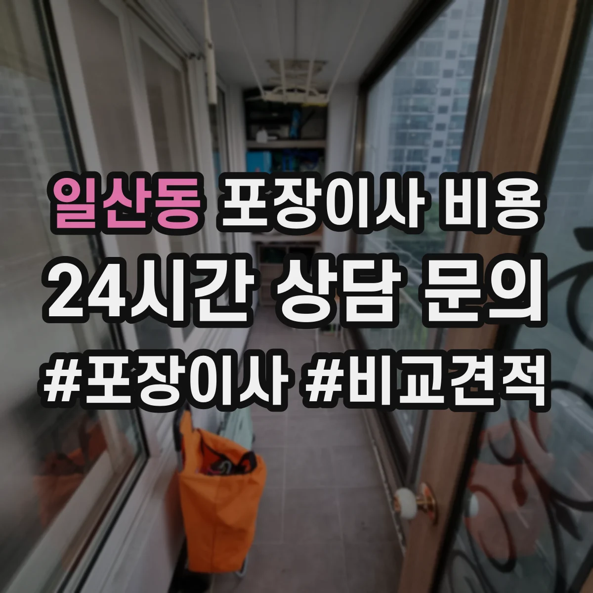 일산동 포장이사 비용