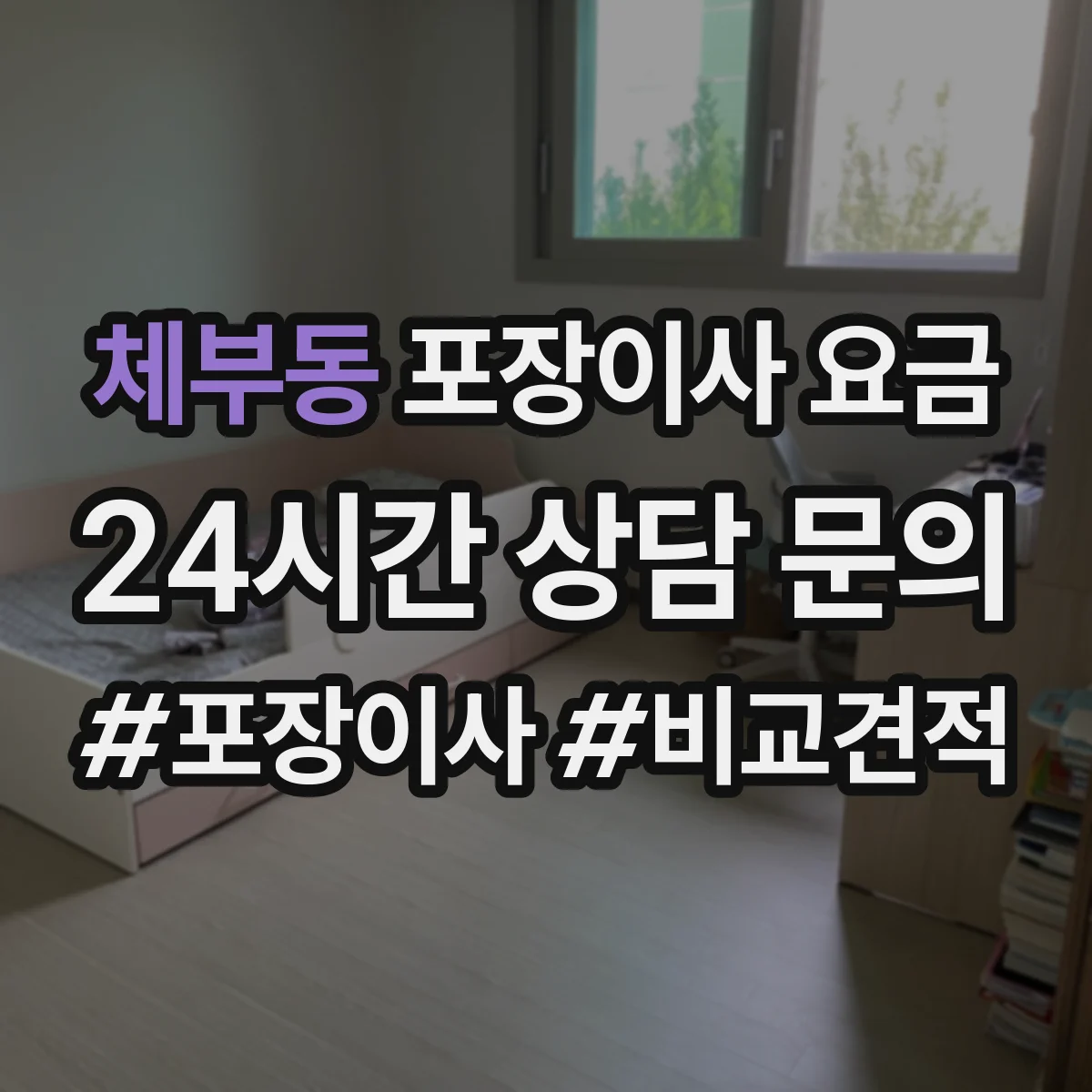 체부동 포장이사 요금