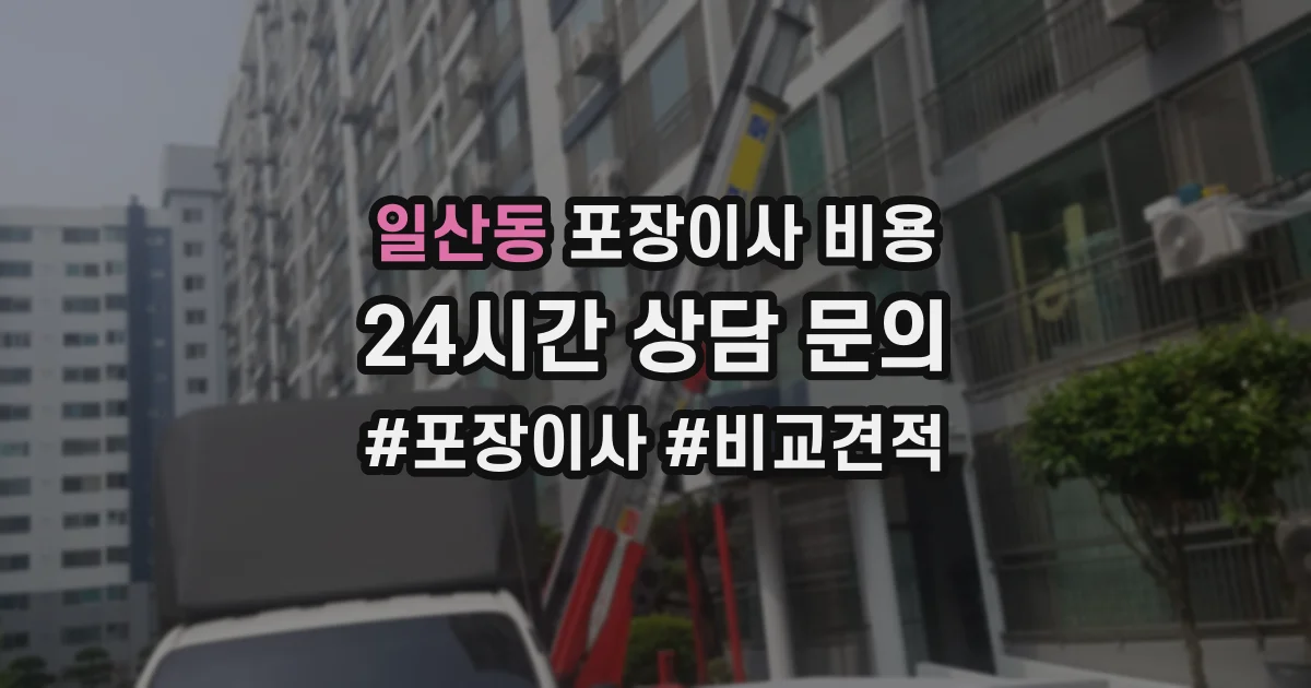 일산동 포장이사 비용