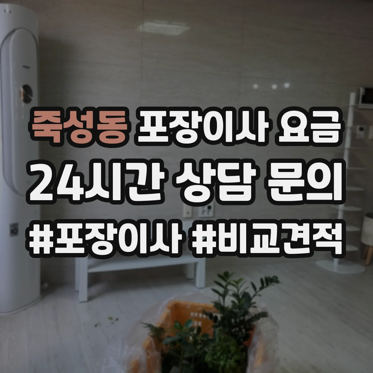 죽성동 포장이사 요금
