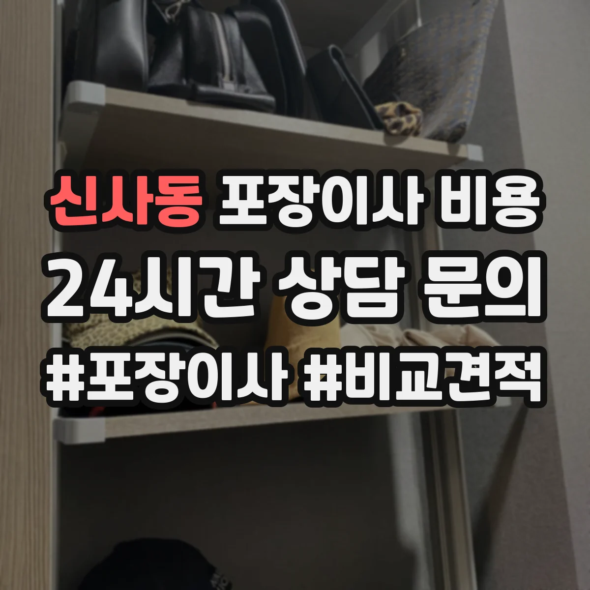 신사동 포장이사 비용