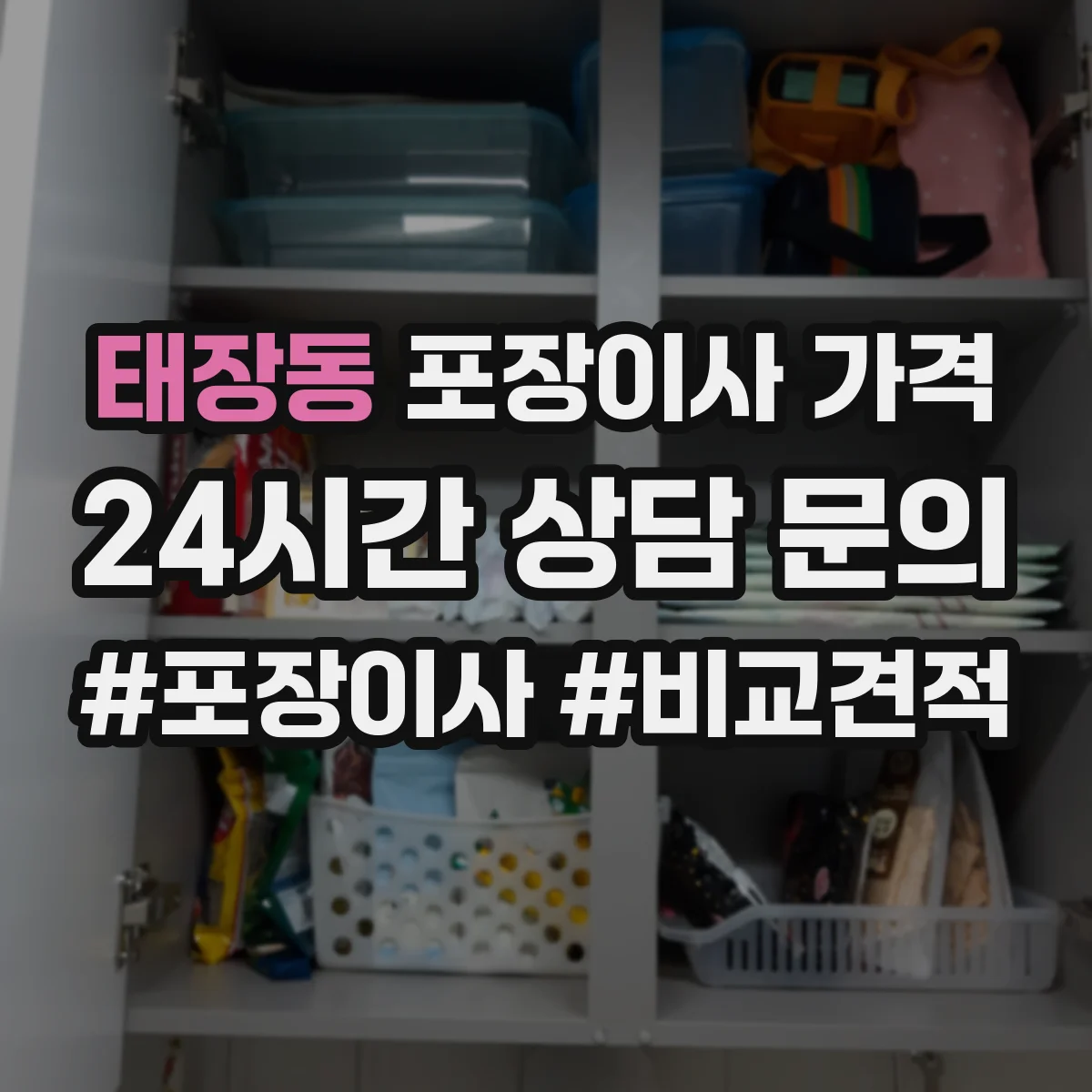 태장동 포장이사 가격