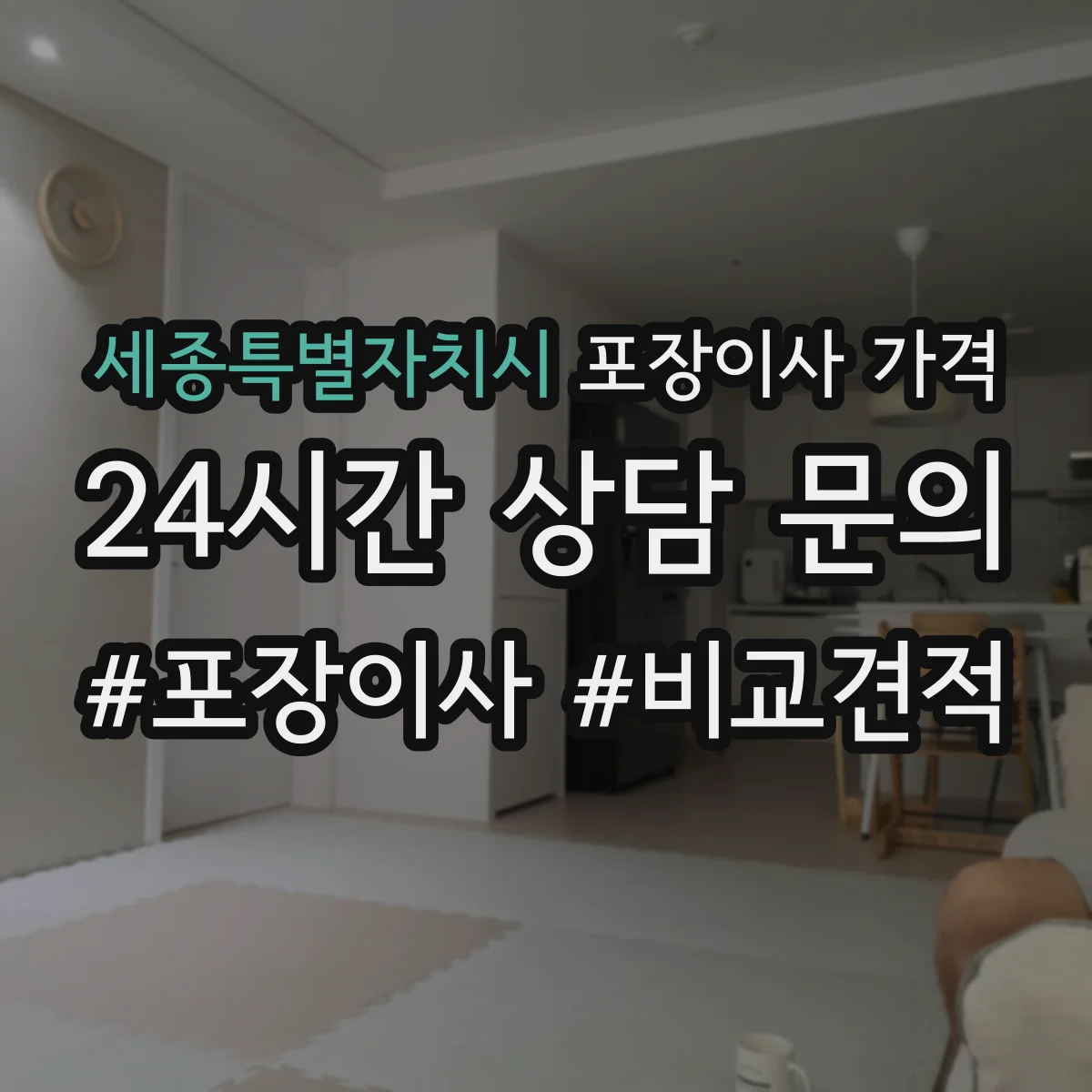 세종특별자치시 포장이사 가격