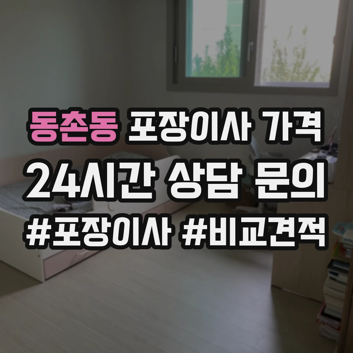 동촌동 포장이사 가격