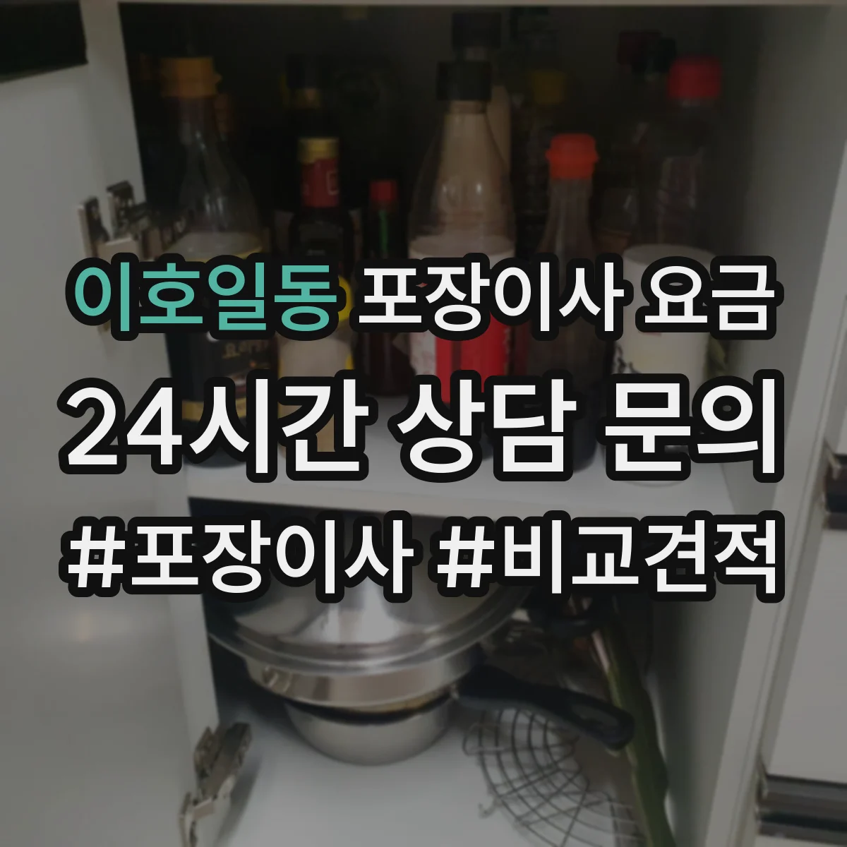 이호일동 포장이사 요금