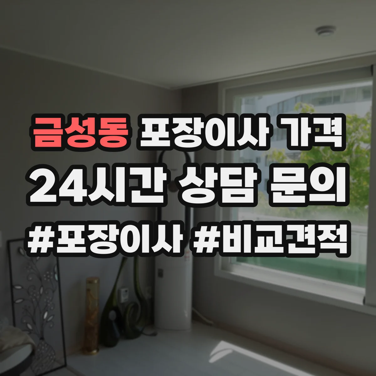 금성동 포장이사 가격