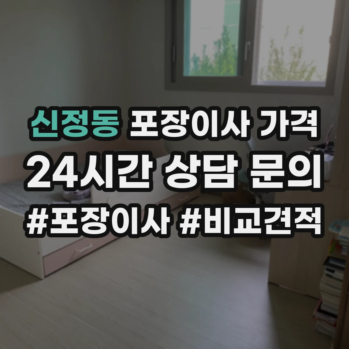신정동 포장이사 가격