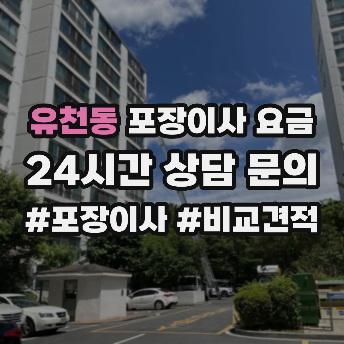 유천동 포장이사 요금
