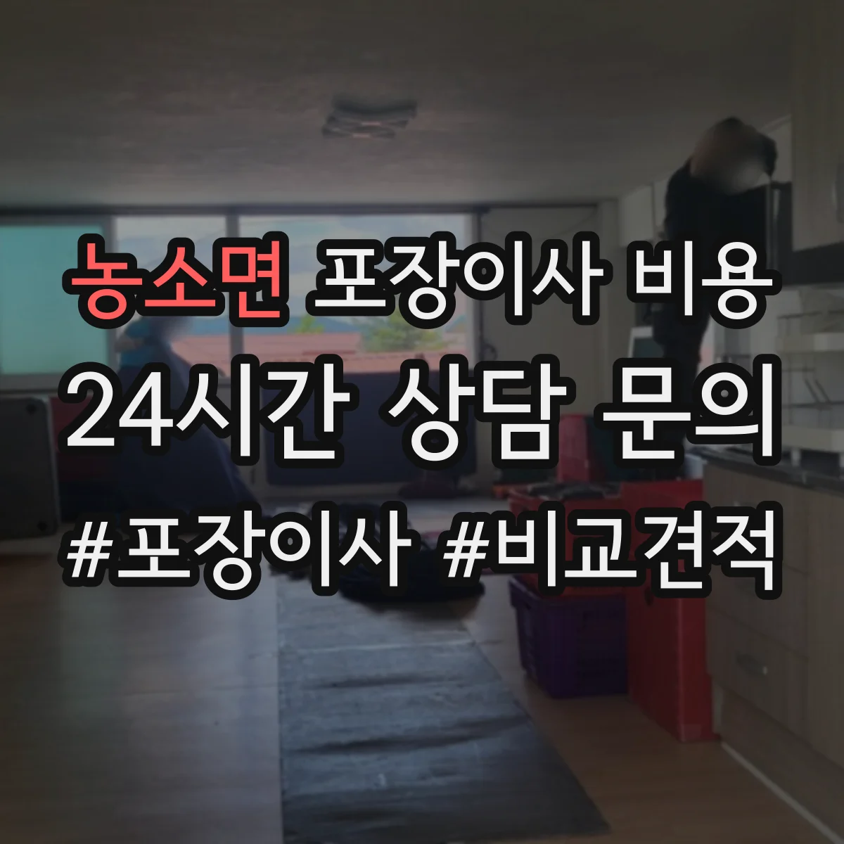 농소면 포장이사 비용
