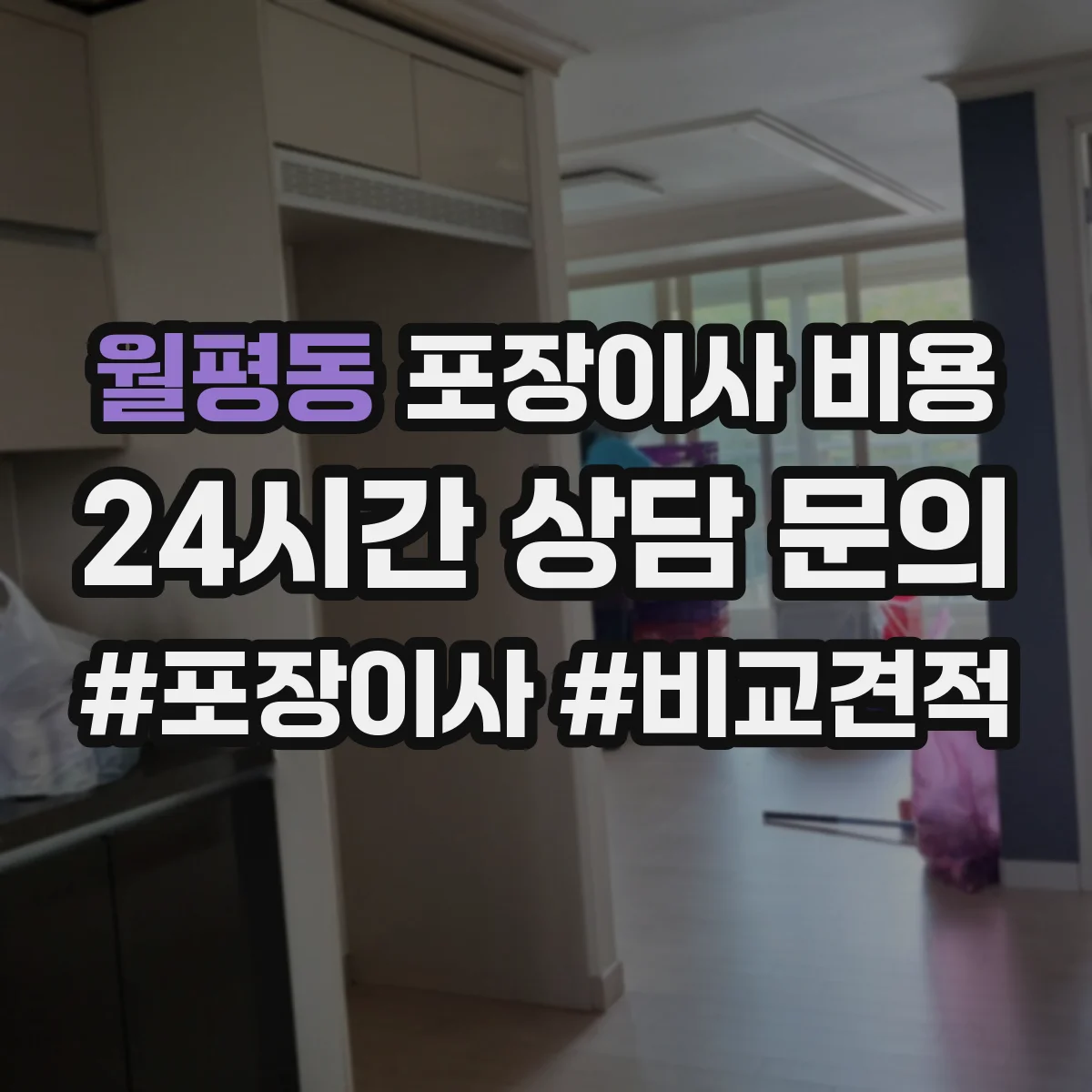 월평동 포장이사 비용