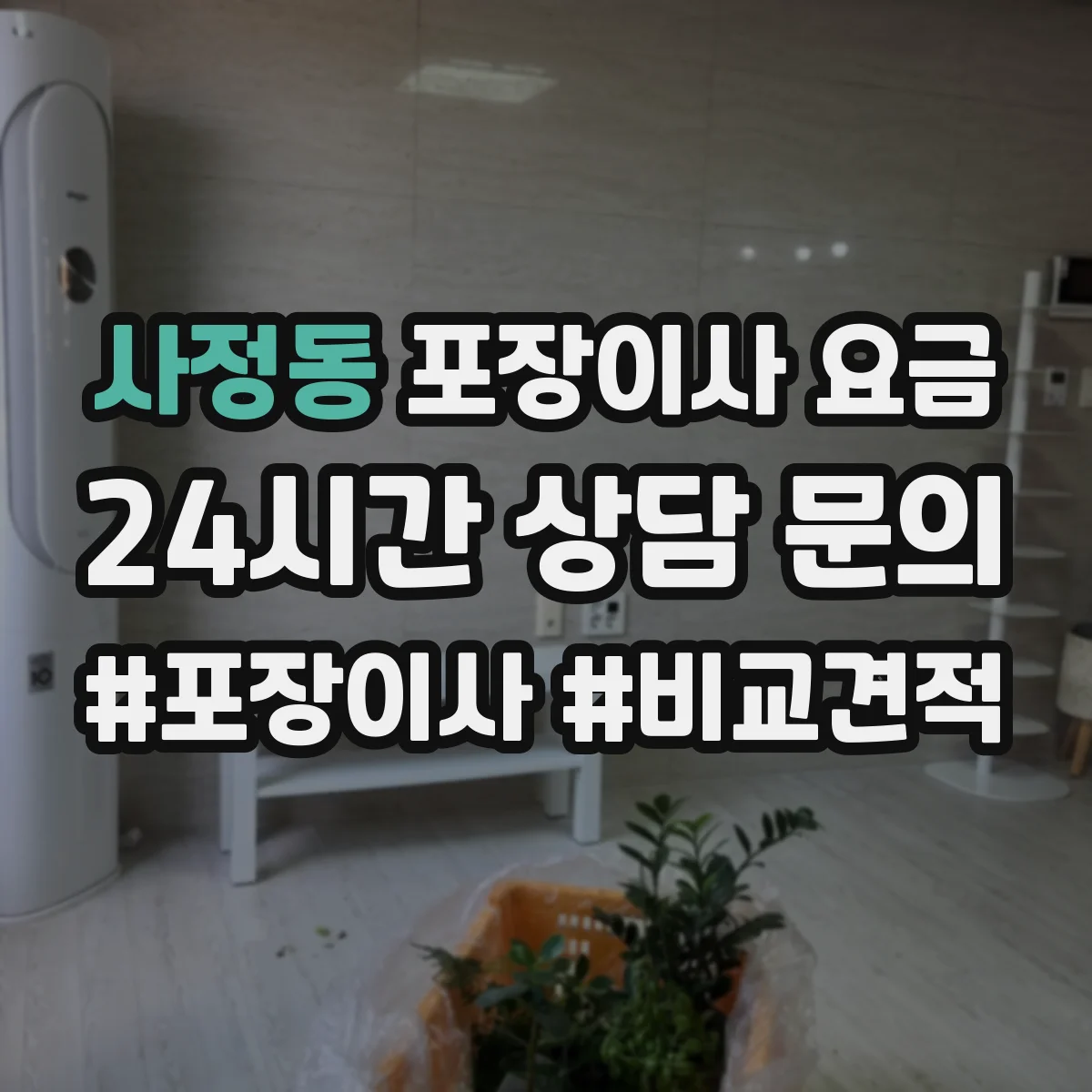 사정동 포장이사 요금
