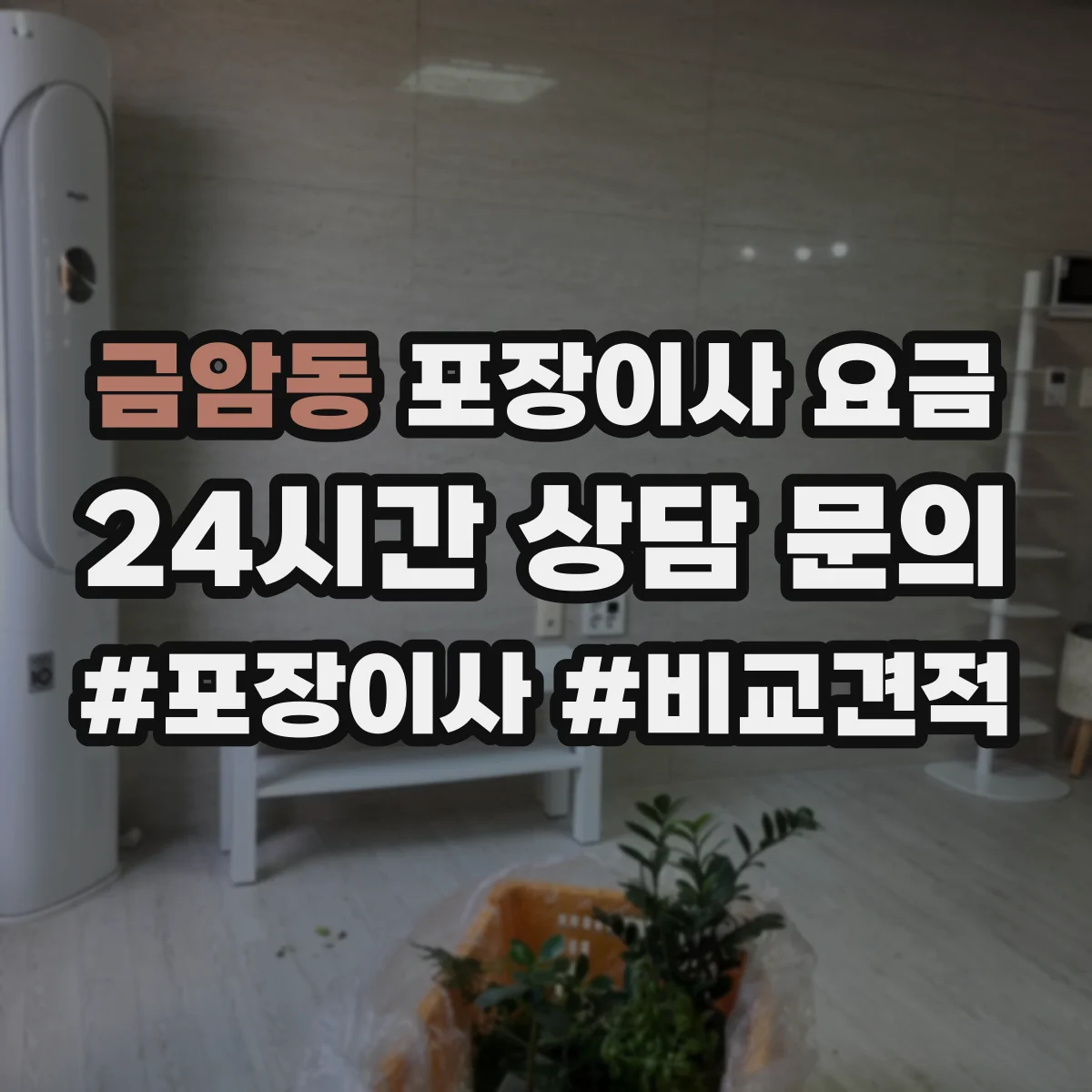 금암동 포장이사 요금