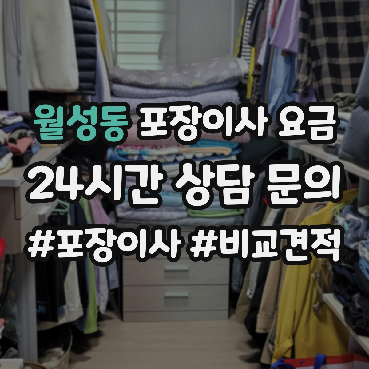 월성동 포장이사 요금