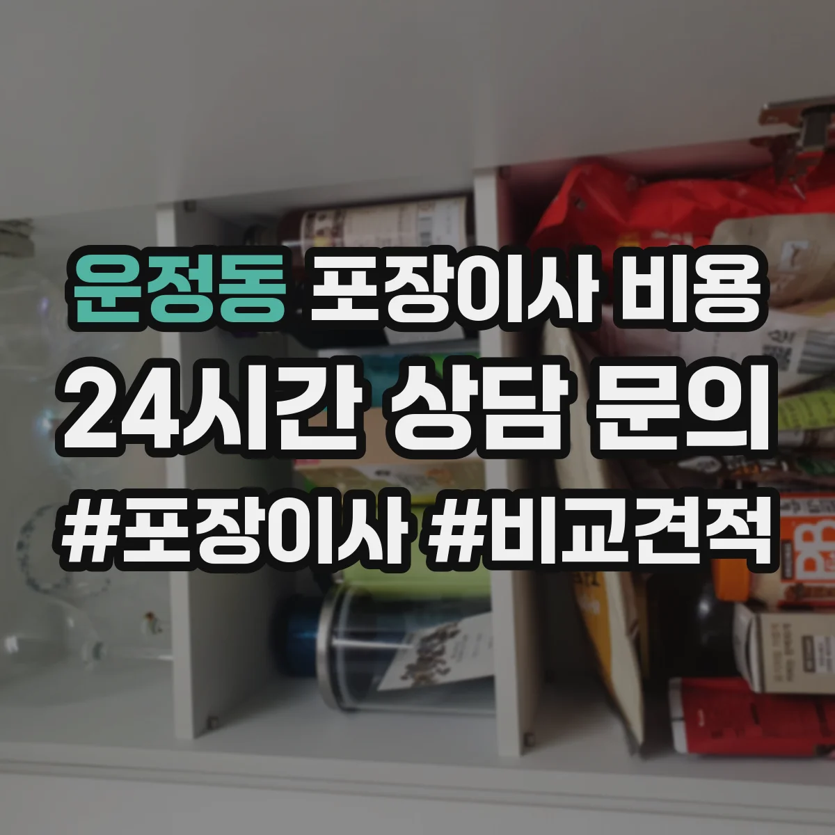 운정동 포장이사 비용