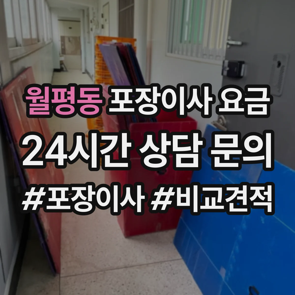 월평동 포장이사 요금