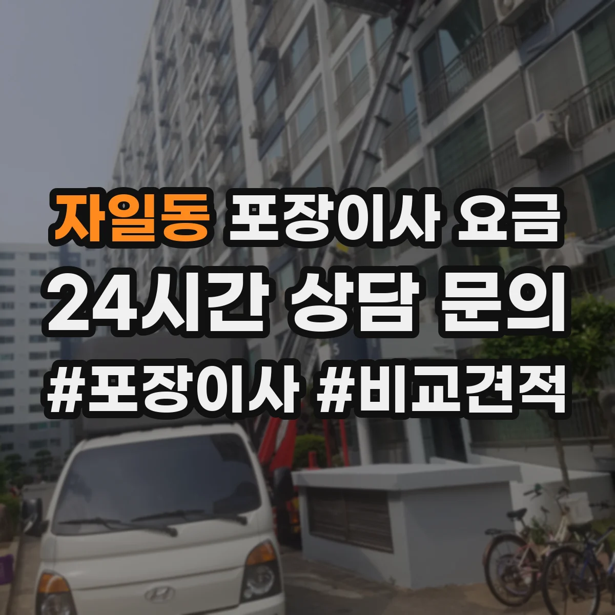 자일동 포장이사 요금