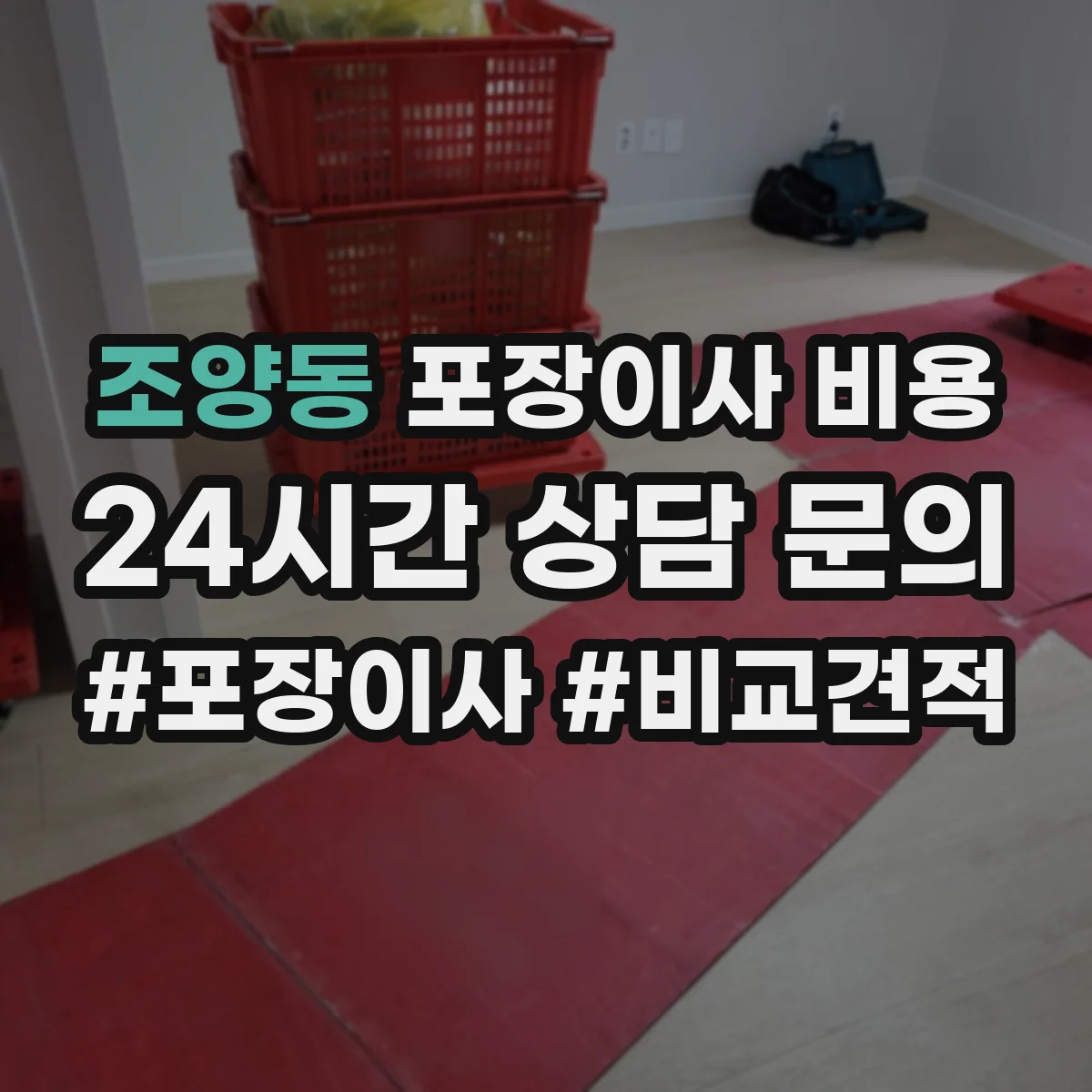 조양동 포장이사 비용